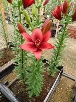 [5704 DJ AZ-03 No01.JPG]